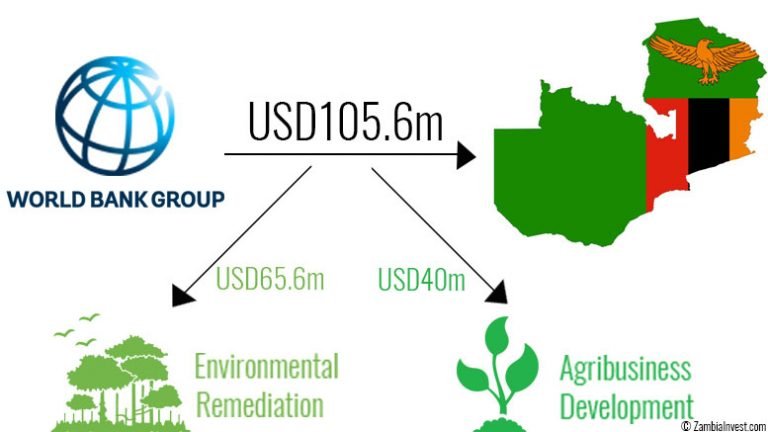 IS ZAMBIA A DEVELOPING COUNTRY visual data 7