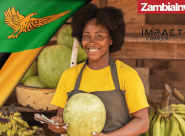 Zambia SME Policy Analysis by Impact Citi