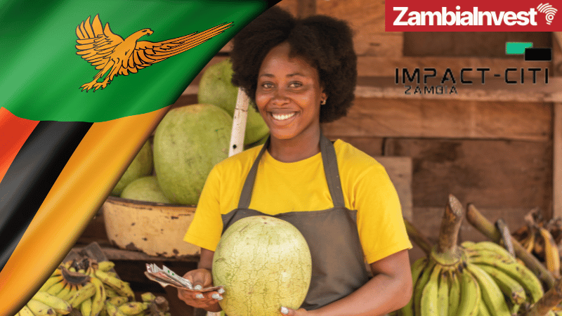 Zambia SME Policy Analysis by Impact Citi