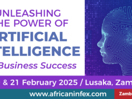 Lusaka Artificial Intelligence for Business Success 2025