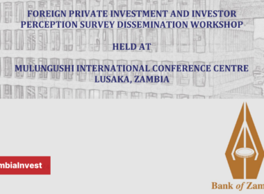 ZAMBIA FOREIGN PRIVATE INVESTMENT AND INVESTOR PERCEPTION SURVEY DISSEMINATION WORKSHOP 2024