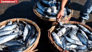 Zambia fisheries